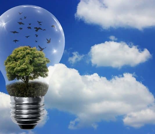 Friburgo. Paraiso verde